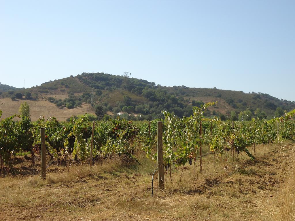 Herdade Dos Montes Bastos Santa Luzia  Exterior foto