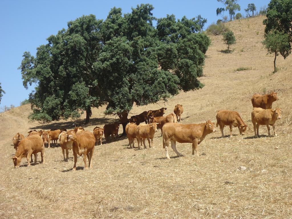 Herdade Dos Montes Bastos Santa Luzia  Exterior foto