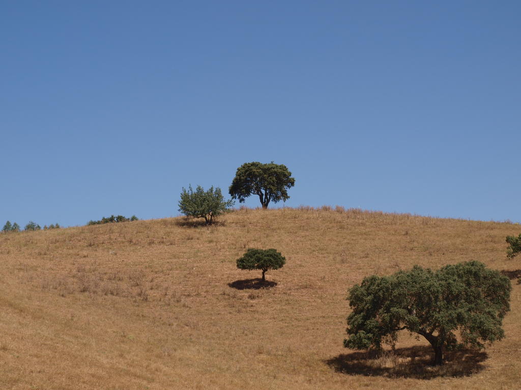 Herdade Dos Montes Bastos Santa Luzia  Exterior foto